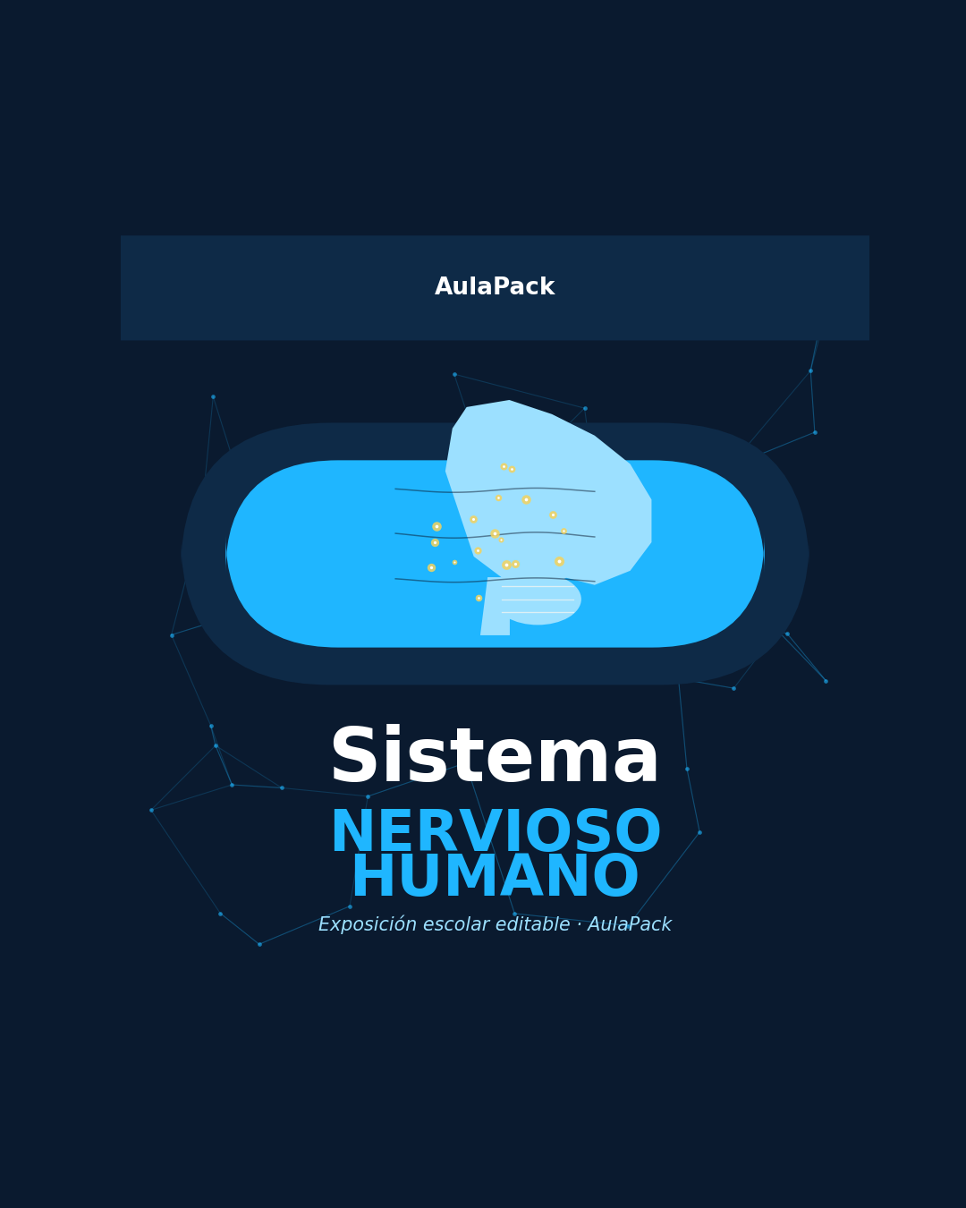 Sistema Nervioso Humano: exposición escolar editable