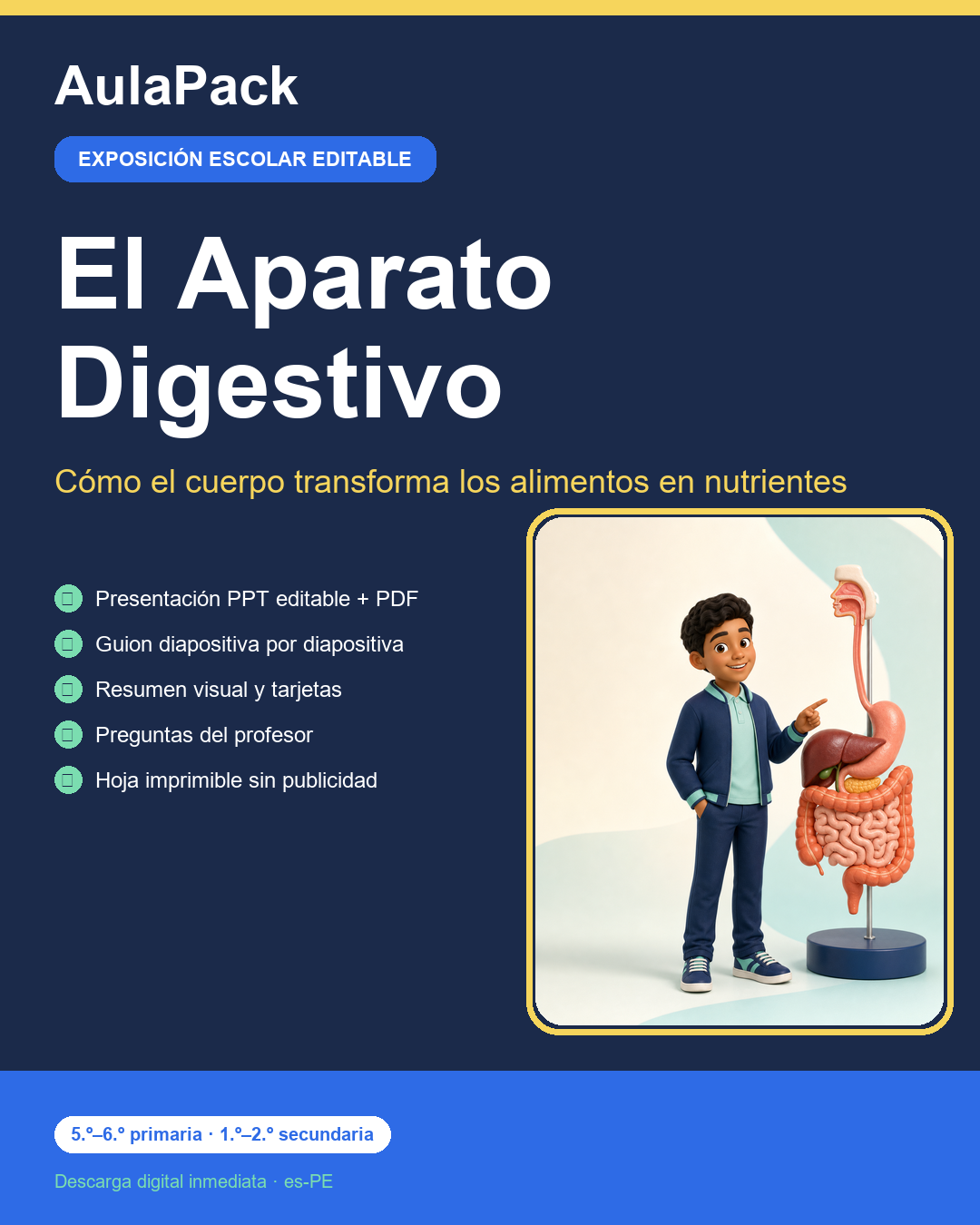 El Aparato Digestivo: exposición escolar editable (PPTX + guion + práctica)